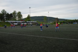 stall2012ogmidsund 069